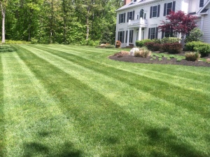 Landscaping,Bethany CT, Lawn Mowing , Lawn Maintnace, Lawn Care